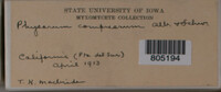 Image Associated With the Occurence